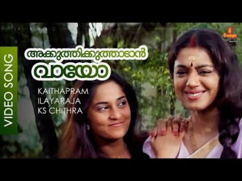 Akkuthikkuthaadaan Vaayo - Song