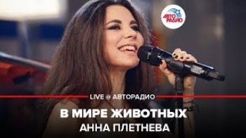 Анна Плетнёва - В мире животных