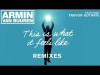 Armin Van Buuren Feat Trevor Guthrie - This Is What It Feels Like Antillas, Dankann Radio Edit