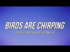 D Block Europe Young Adz X Dirtbike Lb - Birds Are Chirping