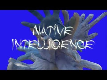 Danny Elfman, Trent Reznor - Native Intelligence