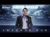 David Divad - Любимая Моя