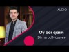 Dilmurod Musayev - Oy Bor Qizim