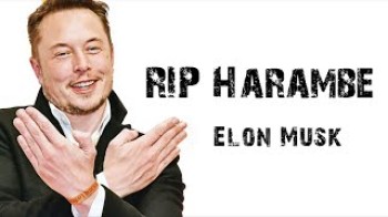 Elon Musk - RIP Harambe