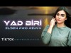 Elsen Pro - Yad Biri Nicat, Elçin Tiktok Remix