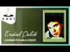 Erdal Çelik - Canımın İstanbul Köşesi