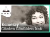 Esmeray - Gözden Gönülden Irak