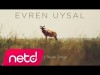 Evren Uysal - 4 İnsan 1 Hayvan Etmiyor