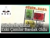 Güzin Ile Baha - Eski Çamlar Bardak Oldu