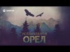 Ислам Айдаров - Орел