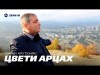 Карен Арутюнян - Цвети Арцах