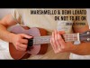 Marshmello Demi Lovato - Ok Not To Be Ok Easy Ukulele Tutorial With Chords