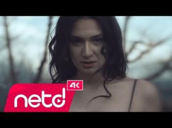 Meltem Leylekoğlu - Aklımdan çıkaramadım