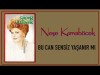 Neşe Karaböcek - Bu Can Sensiz Yaşanır Mı