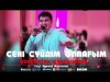 Нурсултан Сансызбаев - Сені Сүйдім Әппағым