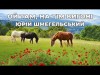 Ой Там, На Тім Вигоні Коні На Вигоні - Юрій Шмегельський