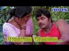 Pranayam Vilambumhd - Karimpana Malayalam Movie Song