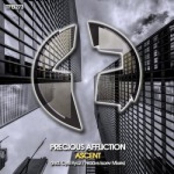 Precious Affliction - Feeling (Original Mix)