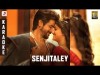 Remo - Senjitaley Karaoke