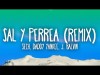 Sech, Daddy Yankee, J Balvin - Sal Y Perrea Remix