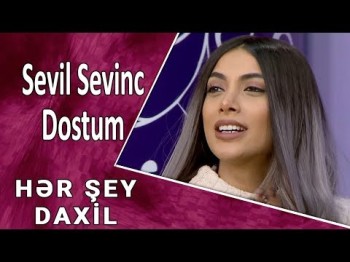 Sevil Sevinc - Dostum