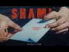 Shami - Белые Птицы Клипа