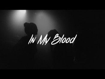 Shawn Mendes - In My Blood Acoustic