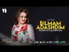 Surayyo Qosimova - Bilmam Adashdim Cover