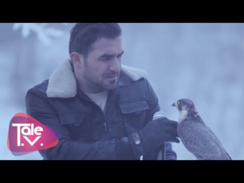 Talıb Tale - Dağlar