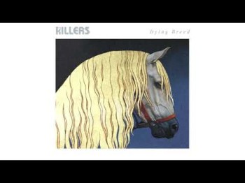 The Killers - Dying Breed Visualizer