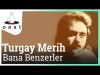 Turgay Merih - Bana Benzerler