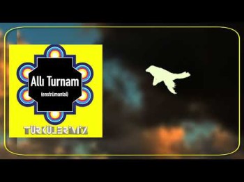 Türkülerimiz - Allı Turnam Salim Dündar Enstrümantal