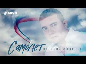 Валерий Милютин - Самолет