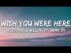 Vicetone, Willim - Wish You Were Here Ft Wink Xy