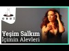 Yeşim Salkım Feat Burak Buluç - İçimin Alevleri