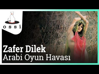 Zafer Dilek - Arabi Oyun Havası