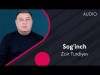 Zoir Turdiyev - Sogʼinch